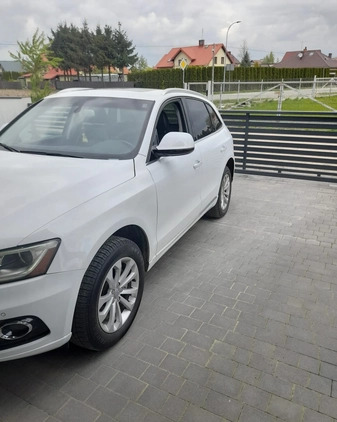 Audi Q5 cena 74500 przebieg: 173000, rok produkcji 2016 z Pobiedziska małe 137